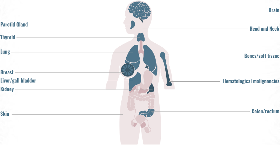 Distribution of NTRK gene fusions across primary tumor sites graphic